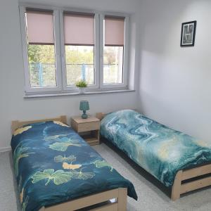 斯卡日斯科-卡缅纳Noclegi - Pokoje - STEMPO的一间卧室设有两张单人床和一个窗户。