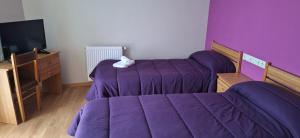 Pensión Río Cenza的一间卧室设有两张床、一台电视和紫色的墙壁。