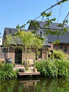 鹿特丹Guesthouse Rotterdam, tinyhouse nearby Kralingen的前面有池塘的房子