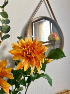 尼姆Crocoloft Nimes Centre的镜子前的花瓶里的一个黄色花朵