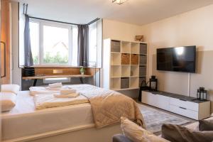 比勒费尔德Traumhaft schöne Welt - Stilvolles Apartment mit Küche und Bad的一间卧室配有一张大床和电视