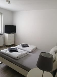 维也纳Excellent Apartment M&L的客房设有两张床、椅子和电视。