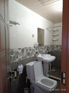 杜尚别INJIR Hostel的一间带卫生间和水槽的浴室