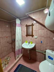 沃洛韦齐Pid Playem的一间带水槽和卫生间的浴室
