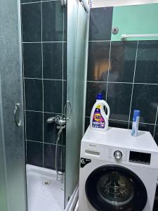 TʼianetʼiTianeti Purple Villa的带淋浴的浴室内的洗衣机