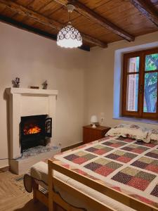 Káto LekhóniaAristos Cottage的一间卧室配有一张床和一个壁炉