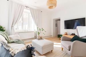韦灵厄Fully Equipped Apartment Close to Malmö & Copenhagen的客厅配有两张沙发和一台电视机