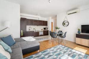 布达佩斯Paulay Private Apartment的带沙发的客厅和厨房