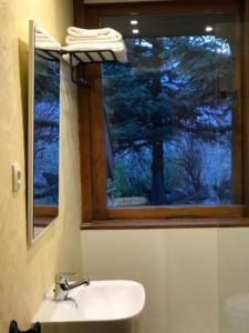 贝纳斯克Hotel Vallibierna的一间带水槽的浴室和一扇树窗