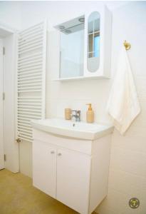 克拉约瓦Bistro Centru Vechi Craiova的白色的浴室设有水槽和镜子