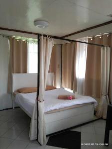 碧瑶De Hagan Transient Baguio City的一间卧室配有一张带天蓬和窗帘的床