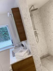 卑尔根Duinstudio Bergen的带淋浴和毛巾水槽的浴室