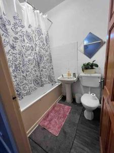 罗奇代尔Cosy 2 Bed House in Rochdale的带浴缸、卫生间和盥洗盆的浴室