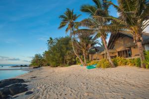 拉罗汤加谣言豪华别墅及Spa的棕榈树海滩和冲浪板房子