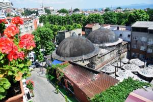 伊斯坦布尔福尔酒店的享有带圆顶和城市的建筑的顶部景色