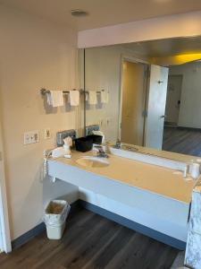 拉威Express Inn-Rahway的一间带水槽和大镜子的浴室