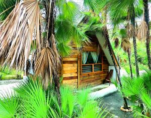 玛雅湾Kin Resort Lodge的小屋前方有棕榈树