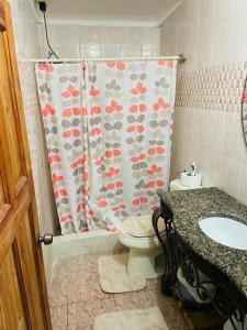 ArimaSt Eldo的一间带卫生间和淋浴帘的浴室