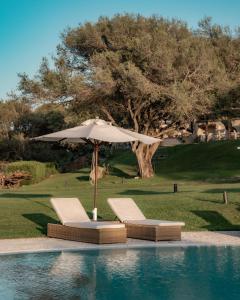 阿尔扎凯纳斯卡佐西亚卡鲁酒店的游泳池旁的两把椅子和一把遮阳伞