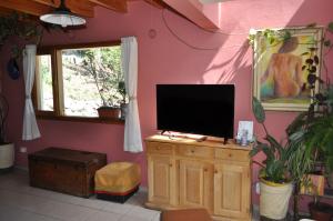 圣马丁德洛斯Melodia natural en San Martín de los Andes的客厅配有木柜上的电视