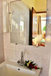 乌图罗阿Tekauhivai Lodge的浴室水槽内装有镜子和鲜花