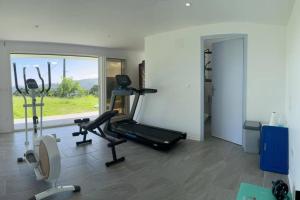Rivière-PiloteVilla moderne - Salle de sport的一间设有跑步机和窗户的健身房的客房