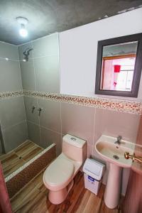 丘林Hotel D'Gloria的一间带粉红色卫生间和盥洗盆的浴室