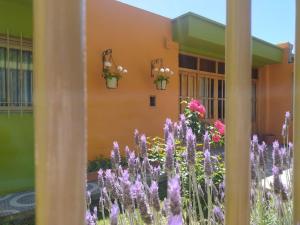 圣拉斐尔Hostel De La Tana的紫色花卉建筑前的花园