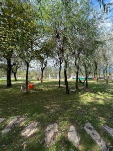 帕哈尔加姆The Posh Camps的草地上种有长凳和树木的公园