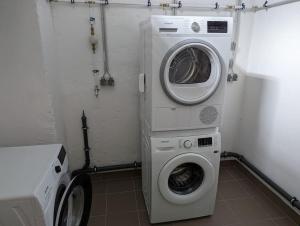 卢森堡Refurbished 1BR Apartment in Limpertsberg的洗衣房配有洗衣机和洗衣机
