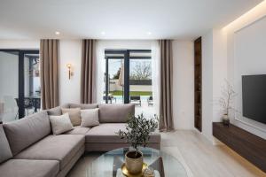 罗波里卡Villa Artis by IstriaLux的带沙发和电视的客厅