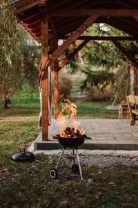 SicasăuAproka - Chalet Mignon Adorable small guest house的草地上烤火的烧烤架