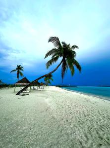 古雷德胡Wind Breeze Sunset View Inn的两棵棕榈树和大海的海滩