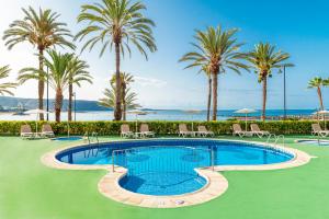 美洲海滩维斯塔苏尔酒店的棕榈树度假村的游泳池