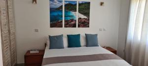 博瓦隆Harmony Self-Catering Apartments的一间卧室配有一张带蓝色枕头的床