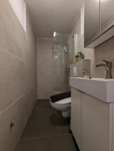 萨格勒布Yellow Pup in Maksimir的一间带卫生间和水槽的浴室