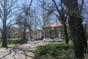 萨格勒布Yellow Pup in Maksimir的公园里有停车的汽车,树木和建筑
