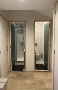 昂蒂布Bohobos Hostel的带淋浴和卫生间的浴室