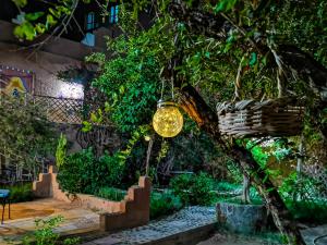 扎古拉Riad Dar Zaouia的挂在花园中树上的灯泡