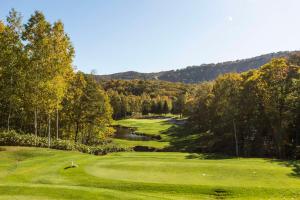 二世古Park Hyatt Niseko Hanazono的享有高尔夫球场、河流和树木的景色