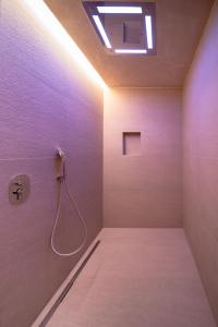 普埃尼亚戈Conti Thun Wine Resort的带淋浴的浴室,天花板上配有灯