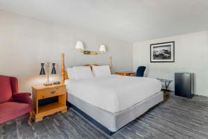 北康威格林格兰耐特酒店的卧室配有白色的床和红色椅子