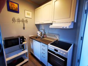 阿比斯库阿比斯科活动旅馆的一间带水槽和炉灶的小厨房