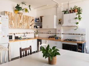 Almáciga卡萨那格公寓的厨房配有白色橱柜和植物桌子