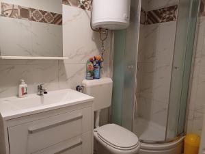 科尔丘拉Guest House Jungher的浴室配有卫生间、盥洗盆和淋浴。
