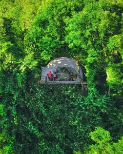 安布罗劳里Wine Space的树林中帐篷的顶部景色