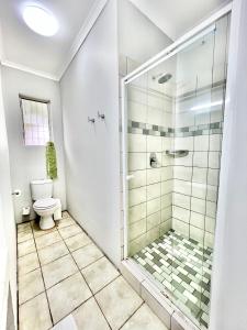圣卢西亚St Lucia Holiday Cottage的带淋浴和卫生间的浴室