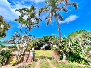 圣卢西亚St Lucia Holiday Cottage的棕榈树和土路的房子