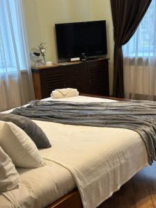 陶格夫匹尔斯Apartamenti DVINSKA的一间卧室配有一张床和一台平面电视