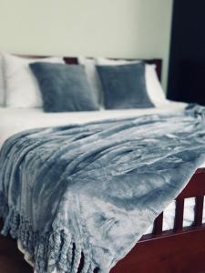 陶格夫匹尔斯Apartamenti DVINSKA的床上有蓝色毯子